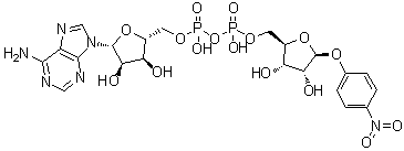 CAS 登录号：939028-75-8, 腺苷 5'-(三氢二磷酸酯), P'→5-(4-硝基苯基 beta-D-呋喃核糖苷)酯