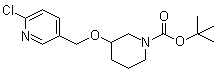 3-[(6-氯-3-吡啶基)甲氧基]-1-哌啶甲酸叔丁酯分子结构 (CAS 939986-93-3)