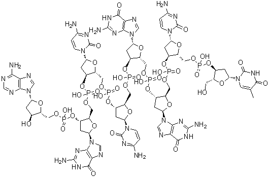 CAS 登录号：94042-83-8, 胸苷酰-(3'→5')-2'-脱氧胞苷酰-(3'→5')-2'-脱氧鸟苷酰-(3'→5')-2'-脱氧鸟苷酰-(3'→5')-2'-脱氧胞苷酰-(3'→5')-2'-脱氧胞苷酰-(3'→5')-2'-脱氧鸟苷酰-(3'→5')-2'-脱氧腺苷