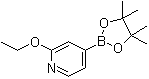 structure of CAS# 957346-47-3, 2-Ethoxypyridine-4-boronic acid pinacol ester