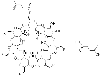 CAS # 957494-34-7, [6-(1,4-Dioxoamyl)]Hexakis(6-succinyl)cyclo(1,4-alpha-D-altroheptaose)