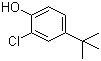 2-氯-4-叔丁基苯酚分子结构 (CAS 98-28-2)